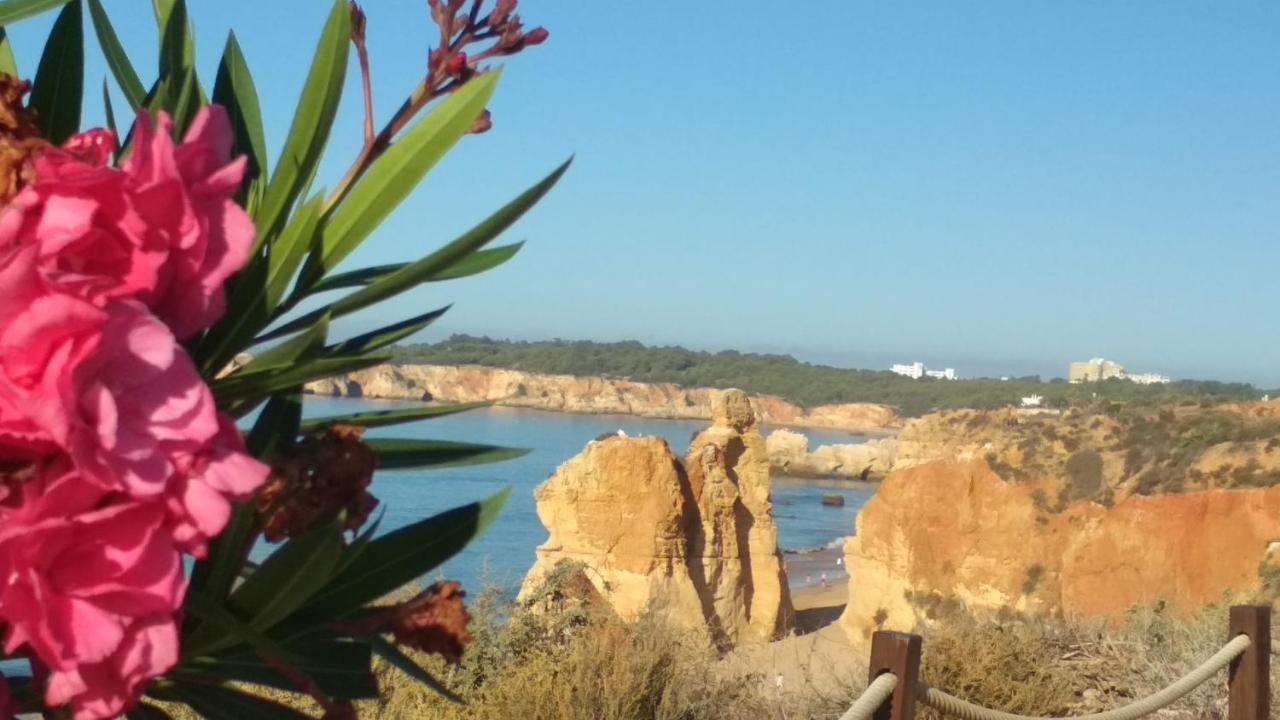 Albur Village B - Hyacinth Alvor Exteriér fotografie